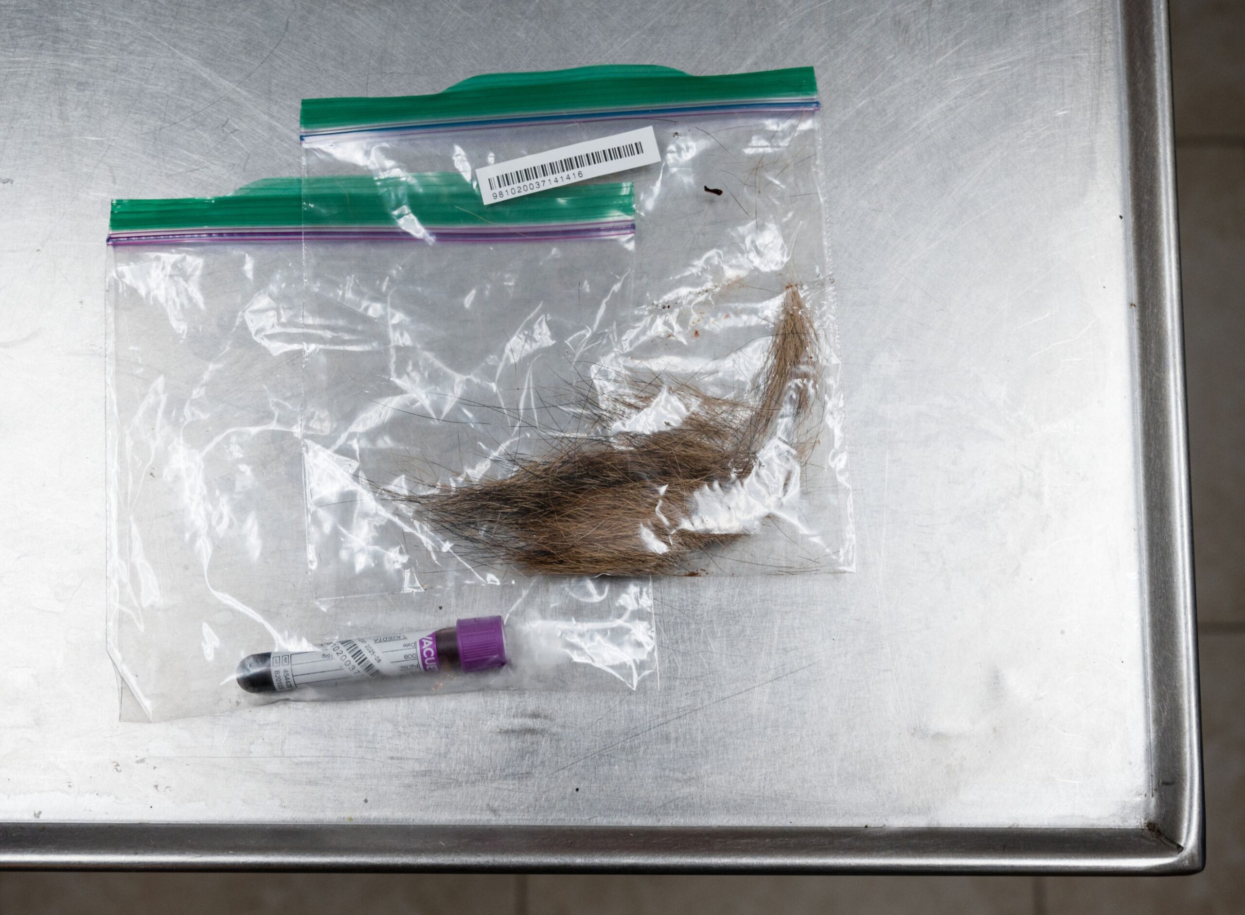 hair in Zip-Loc bags on a metal tray